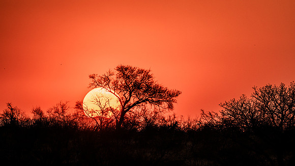 African sunset