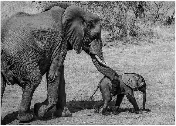 Mum & baby